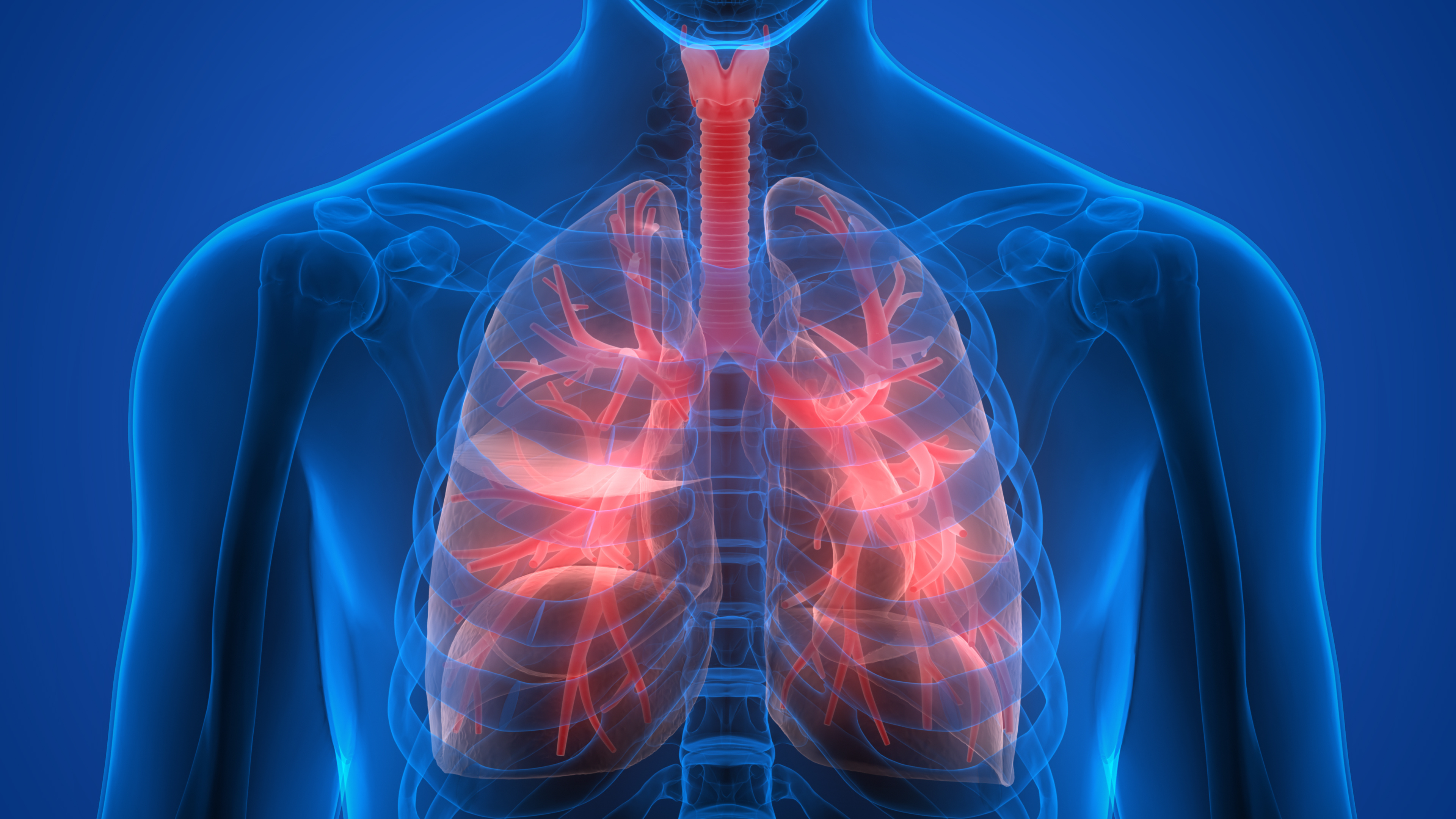 FR Reconnaître et interpréter les bruits pulmonaires
